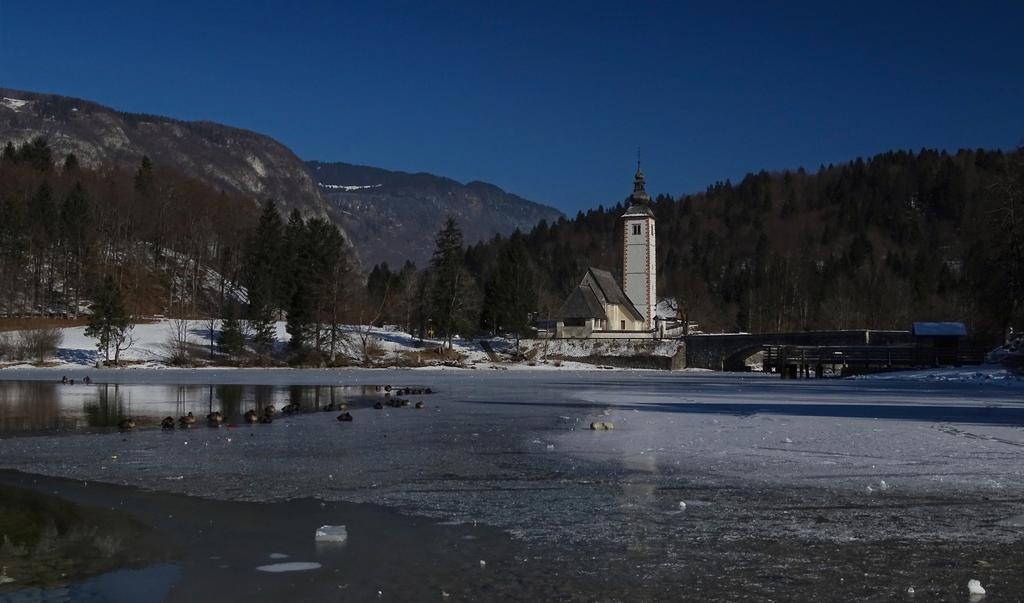 Apartmaji Pri Marodnu Bohinj Eksteriør billede